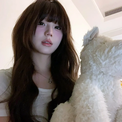 调查者:仅供执勤